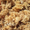Grassileria Sea Moss